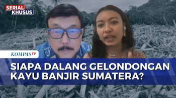 Kasus Kayu Gelondongan Di Tapsel Naik Penyidikan, Ini Analisis Ito Sumardi Dan Temuan Greenpeace