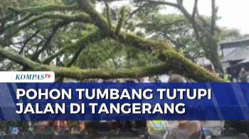Diterjang Angin Kencang, Pohon Tumbang Tutupi Jalan Raya Ciater Tangsel | SAPA PAGI