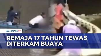 Remaja 17 Tahun Tewas Diterkam Buaya Saat Mandi Di Sungai Maluku Barat Daya | BERUT