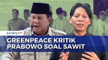 Prabowo Sebut Sawit 'Miracle Crop', Greenpeace Singgung Bencana Di Sumatera | KOMPAS PETANG