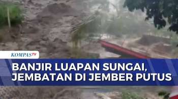 Banjir Terjang Jember, Jembatan Penghubung Antardesa Ambruk Diterjang Arus Sungai | KOMPAS SIANG