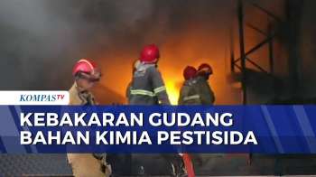 Gudang Bahan Kimia Pestisida Terbakar Di Tangsel, Kerugian Capai Rp2 Miliar | KOMPAS PETANG