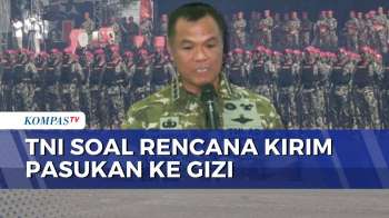 Rencana Kirim Pasukan Perdamaian ke Gaza, Wakil Panglima TNI: Kita Berpengalaman