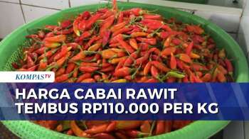 Naik! Harga Cabai Rawit Di Banjarbaru Tembus Rp110.000 Per Kg | KOMPAS SIANG