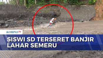 Siswi SD Di Lumajang Terseret Banjir Lahar Semeru Saat Berangkat Sekolah  | INDO UPDATE