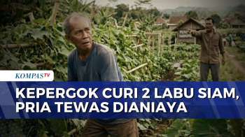 Curi 2 Labu Siam, Pria di Cianjur Tewas Dianiaya Penjaga Kebun | KOMPAS MALAM