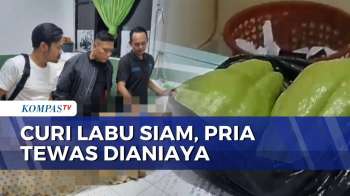 Pria Di Cianjur Tewas Dianiaya Penjaga Kebun Usai Curi 2 Labu Siam | KOMPAS PETANG