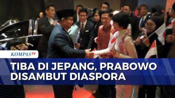 Momen Presiden Prabowo Disambut Diaspora Saat Tiba Di Tokyo | JMP