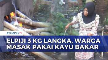 Elpiji 3 Kg Langka, Warga Jember Terpaksa Memasak Gunakan Kayu Bakar | KOMPAS SIANG