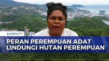 Perempuan Adat Enggros Jaga Hutan Di Teluk Youtefa, Hadapi Ancaman Sampah | KOMPAS SIANG