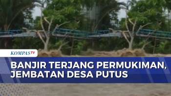 Jembatan Desa Di Lebong Bengkulu Putus Diterjang Air Sungai Meluap | BERUT