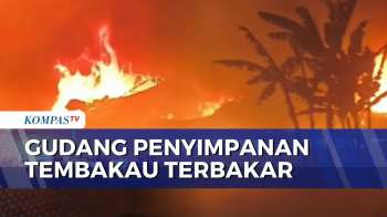 Kebakaran Hanguskan Gudang Tembakau di Bondowoso, Api Berhasil Dipadamkan Setelah 4 Jam | BERUT