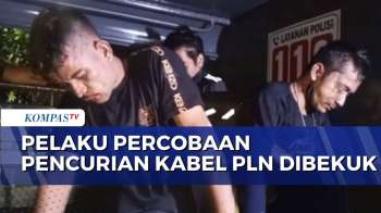 Polisi Tangkap 2 Pencuri Kabel Listrik Yang Menyamar Jadi Petugas PLN Di Siak Riau| BORGOL