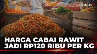 gagal-panen-harga-cabai-rawit-di-manado-melonjak-jadi-rp120-ribu-per-kg