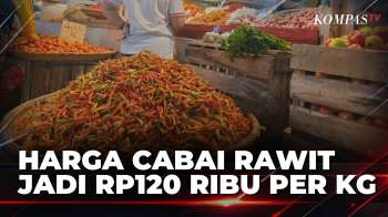 Gagal Panen, Harga Cabai Rawit Di Manado Melonjak Jadi Rp120 Ribu Per Kg