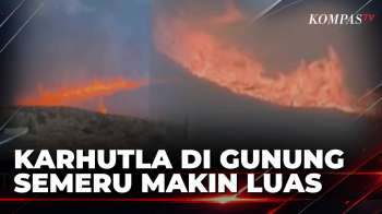 Karhutla Gunung Semeru Makin Tak Terkendali, Api Bakar Padang Savana Oro-Oro Ombo | KOMPAS PETANG