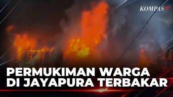 Permukiman Di Jayapura Terbakar, Warga Panik Tak Sempat Selamatkan Barang | KOMPAS PETANG