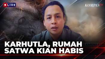 [FULL] Karhutla Meluas, YIARI Evakuasi 7 Orangutan dalam 3 Pekan Terakhir | SAPA MALAM