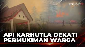 Warga Panik! Api Karhutla Dekati Permukiman di Berau Kaltim | BERUT