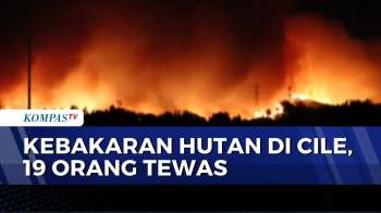 Kebakaran 20 Ribu Hektare Hutan Di Cile, 19 Orang Tewas Dan 50 Ribu Warga Mengungsi | BERUT