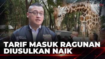 DPRD DKI Wacanakan Tiket Taman Margasatwa Ragunan Naik Jadi Rp10 Ribu | KOMPAS SIANG