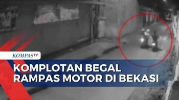 Imbas Pohon Tumbang, KRL Tanah Abang-Rangkasbitung Sempat Terhenti
