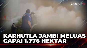 Karhutla Jambi Meluas, 1.776 Hektare Lahan Terbakar Hingga 10 Orang Jadi Tersangka | SAPA MALAM