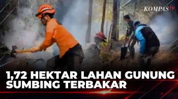 Hutan Gunung Sumbing Terbakar, 1,72 Hektar Lahan Dilalap Api | KOMPAS SIANG
