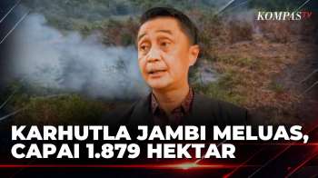 Kebakaran Lahan dan Hutan di Jambi Meluas, Capai 1.897 Hektar | KOMPAS SIANG