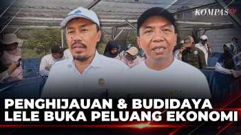Dorong Ekonomi, Warga Desa Margagiri Tanam 100 Bibit Pohon Dan Tebar 6.000 Bibit Lele | KOMPAS SIANG