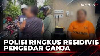 Residivis Kasus Narkoba, Ibu Rumah Tangga Di Medan Kembali Ditangkap Jual Ganja