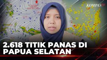 2.618 Titik Panas Terdeteksi Di Papua Selatan, Merauke Capai 1.911 Titik | JMP