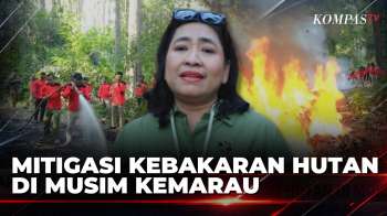 Cegah Karhutla, BKSDA Jateng Buat Sekat Bakar di Cagar Alam Pagerwunung | JMP
