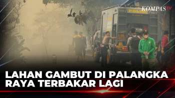 Lahan Gambut Terbakar Lagi, Begini Pantauan Udara Kabut Asap di Palangka Raya | KOMPAS PETANG