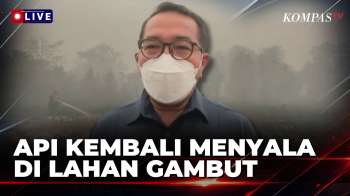 Karhutla Dekati Kampus Uniska hingga Situasi Kebakaran Lahan Gambut di Palangka Raya | KOMPAS PETANG