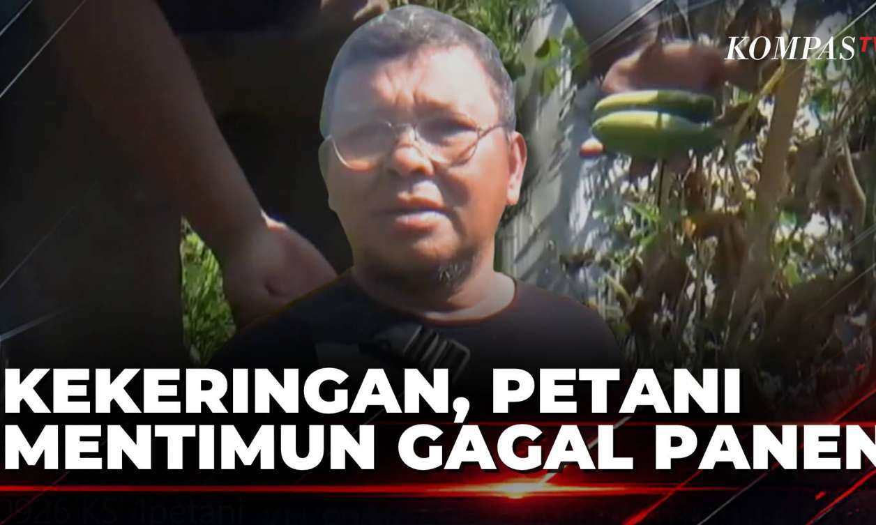 Krisis Air di Jember, 5 Hektare Tanaman Hortikultura Gagal Panen | KOMPAS SIANG