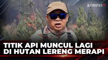 Hutan Gunung Merapi Kembali Terbakar, Bara Api Kebakaran Sebelumnya Kembali Menyala | BERUT
