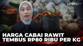 Harga Cabai Rawit Naik, Tembus Rp80 Ribu Per Kilogram Di Makassar