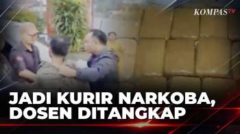 Dosen Di Padang Panjang Jadi Kurir Narkoba Ditangkap, BNN Sita 30 Kg Ganja