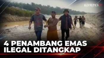 Polisi Bongkar Tambang Emas Ilegal di Riau, 4 Penambang Ditangkap | BORGOL