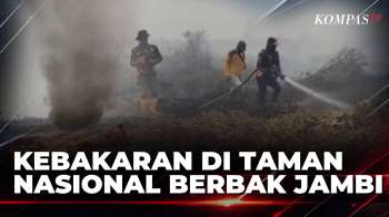 Karhutla Di Taman Nasional Berbak Sembilang Belum Padam, Lahan Terbakar 4.000 Hektare | SAPA PAGI