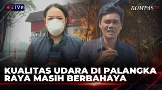 kabut-asap-di-palangka-raya-hingga-jumlah-titik-panas-di-papua-selatan-meningkat-kompas-siang