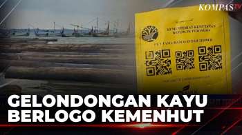 400 Gelondongan Kayu Berlogo Kemenhut Terdampar di Sumenep, Rusak Belasan Perahu Warga | SAPA MALAM