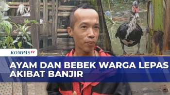 Banjir Rendam Permukiman Warga Kulonprogo: Air Setinggi 1 Meter Masuk Rumah, Hewan Ternak Lepas