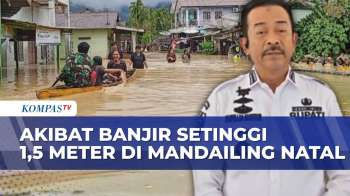 Banjir 1,5 Meter Rendam Mandailing Natal: 250 Warga Mengungsi, 7 Kecamatan Terdampak
