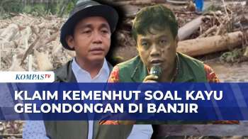 Klaim Kemenhut Soal Kayu Gelondongan Di Tengah Banjir Sumatera Tuai Sorotan, Janggal & Umbar Janji?
