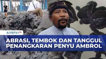 Tanggul Penangkaran Penyu Di Bali Ambrol Dihantam Ombak, Warga Khawatir Tukik Jadi Korban