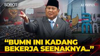 Presiden Prabowo Bentuk Pengadilan Ad Hoc Usut BUMN Bermasalah! Targetkan Hanya 300 BUMN