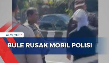 Berita dan Video Porno Terkini Hari Ini - Kompas.tv