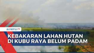 kebakaran-lahan-hutan-di-wilayah-kubu-raya-kalimantan-barat-belum-padam